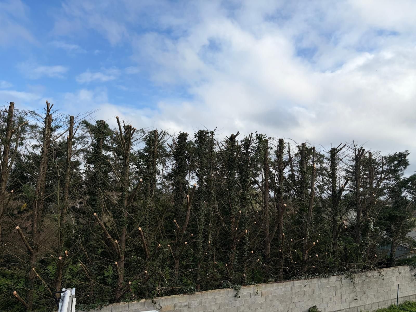 WhatsApp Image 2026-04-13 at 05.31.15